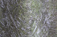 Hest Bank fibreglass roof work